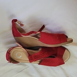 Red wedges